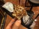 New Style Replica Versace Leather Belt - Gold Buckle (4)_th.jpg